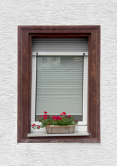 window and flower pot