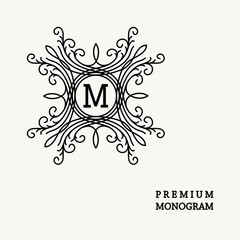 Stylish  graceful monogram , Elegant line art logo design 