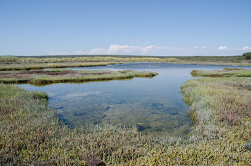 West Coast National Park im weiten Südafrika