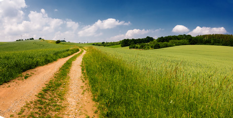 Fototapeta na wymiar sunny green field panorama