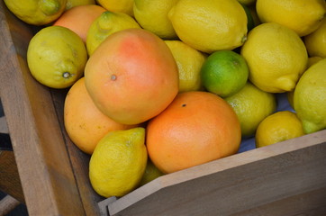 Zitrusfrüchte