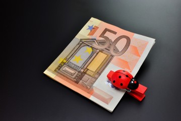 Banconota con coccinella portafortuna
