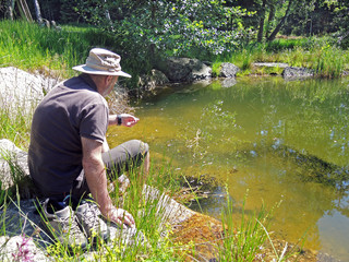 Naturbeobachter am Teich - nature watcher at the pond