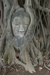 Fototapeta na wymiar Ruins at Ayutthaya