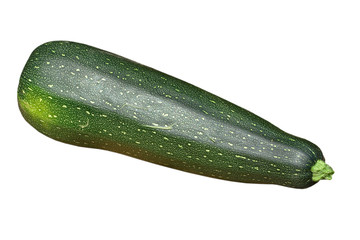 Zucchini vegetable.Isolated.