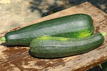 Two zucchini vegetable on wooden surface.