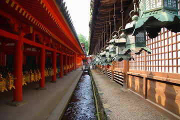 Fototapeta premium Japanese lanterns in Nara