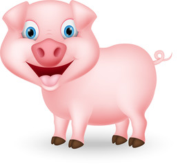 Cute pig cartoon
