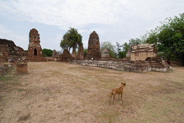 Ruins at Ayutthaya