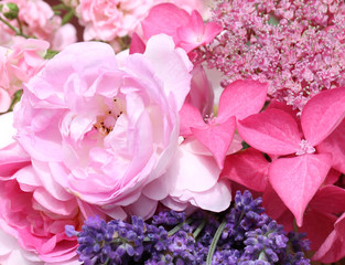 rosa Blütentraum