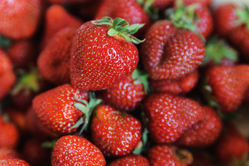 Many large ripe sweet strawberry
