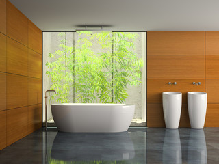 Interior of the bathroom with opracity wall 3D rendering