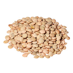 Lentils isolated on white background.