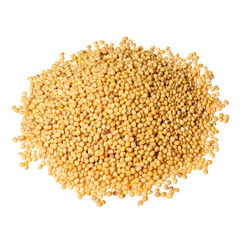 Poile of yellow mustard seeds isolated.