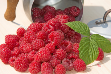 Gartenhimbeeren