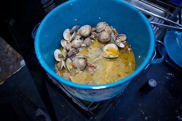 Camp Cooking