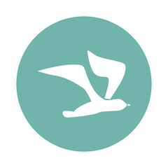 Fototapeta premium Seagull icon