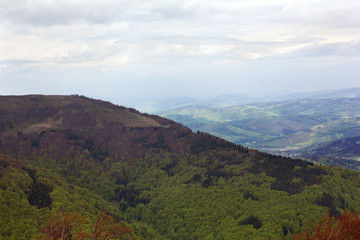 landscape of a big green mountain with trees
