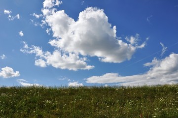Beautiful landscape, blue cloudy sky with green grass field