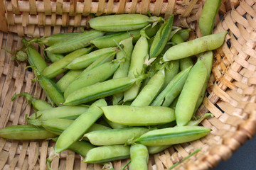 petit pois à ecosser 