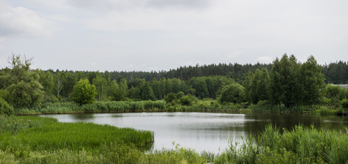 Panorama of lake, forest, bushes, grass and sky