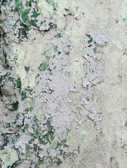 Naklejka premium old wall texture