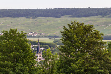 Obraz premium Early summer in Champagne, France