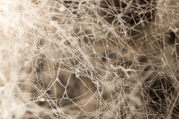 background from the old web