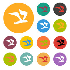 Seagull icon