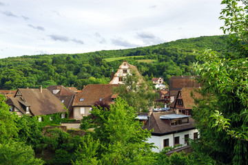 Fototapeta na wymiar Bird-fly overview to small village in Alsace