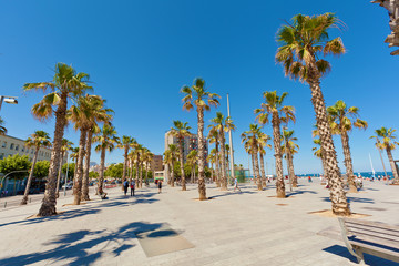 Barceloneta beach