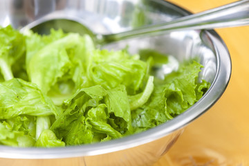 lettuce in bowl