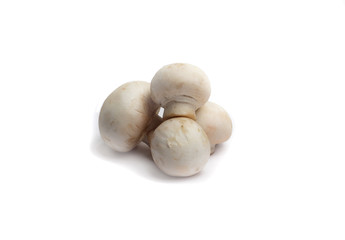 mushrooms isolated on white background