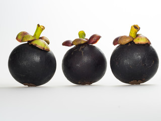 Elevation of Mangosteen fruits