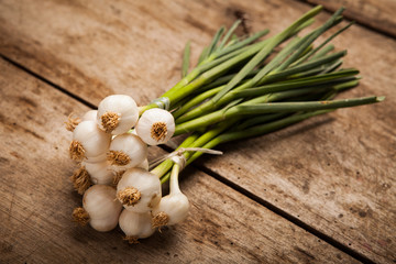 Spring onions on wood background