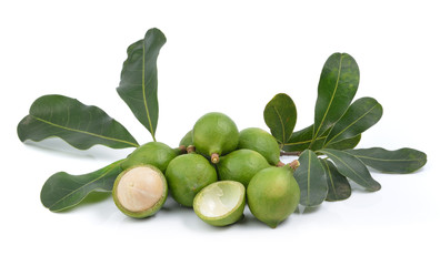 fresh macadamia nut on white background