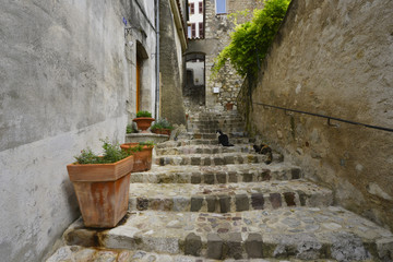 Ruelle en escalier à Callas (83830), département du Var en région Provence-Alpes-Côte-d'Azur, France	