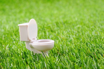 緑の芝生の上にある白い洋式トイレの便器