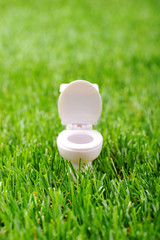 緑の芝生の上にある白い洋式トイレの便器