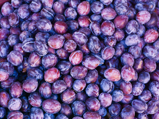 Ripe Plums - Blackthorns