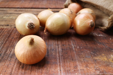 big  onion  group on wood , vintage style