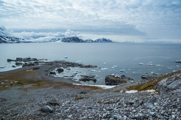 Arctic spring in south Spitsbergen © KrisGrabiec