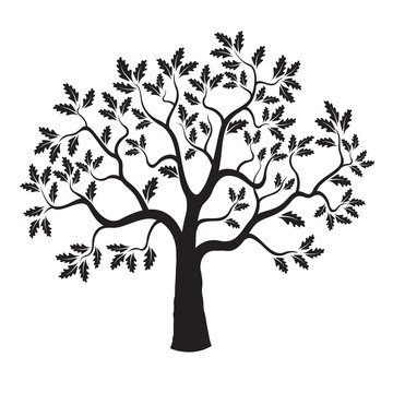 Black vector Oak Tree