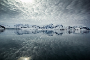 Arctic spring in south Spitsbergen © KrisGrabiec