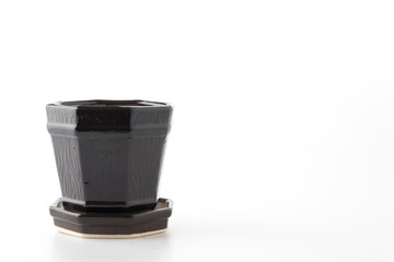 small potted isolated on white background