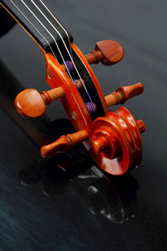 violin detalle
