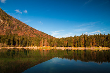 Autumn morning in the alps