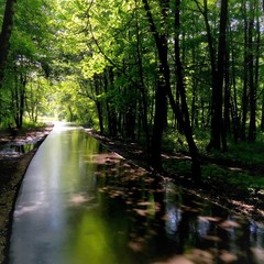 Fototapeta premium Landscape