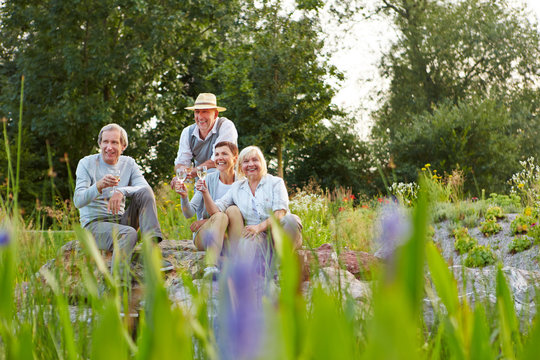Gruppe Senioren beim Sekt trinken im Garten