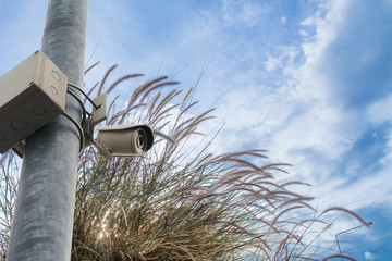 Closed circuit television (CCTV) equipment for protect thief ste